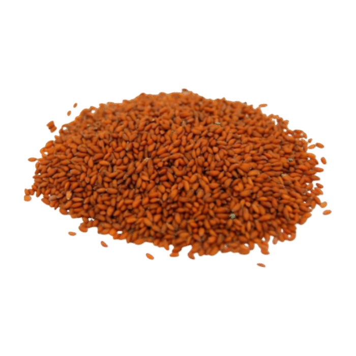 Asaliya Seeds