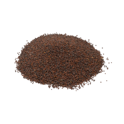Black Mustard Seeds