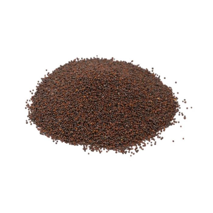 Black Mustard Seeds