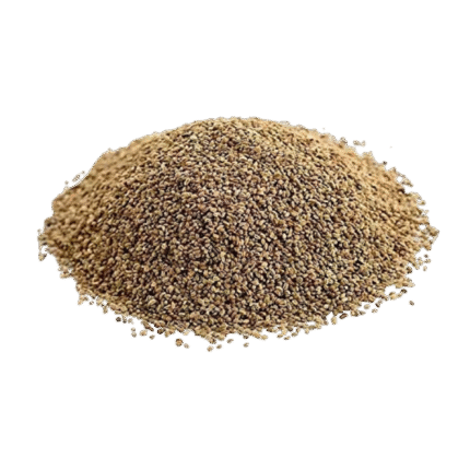 Celery Seeds