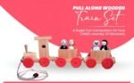 Channapatna Toys Pull Along Toy Wooden Train with 4 Animals Peg Dolls for 12 Months & Above Kids, Toddlers, Infant & Preschool Toys - Multicolor - Wooden Toys Train Indian...