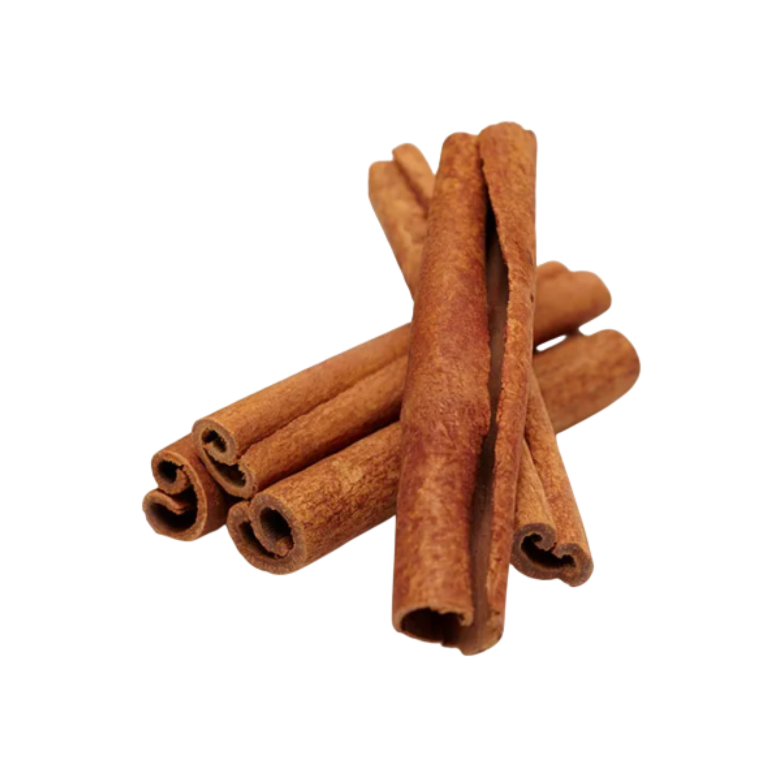 Cinnamon Round Cinnamon Round