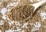Farm Fresh Ajwain (Carom Seeds) Chemical free – First Delivery