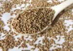 Farm Fresh Ajwain (Carom Seeds) Chemical free – First Delivery