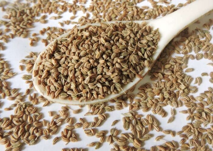 Farm Fresh Ajwain (Carom Seeds) Chemical free – First Delivery