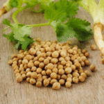 Farm fresh Coriander Seeds (Dhania) Pure Chemical free – First Delivery