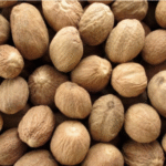 Farm Fresh Jathikka Nutmeg (Jaiphal) Chemical free – First Delivery