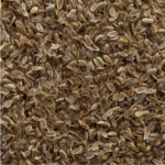 Farmfresh Dill Seeds (Sowa) No chemical - First Delivery