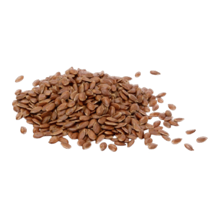 Flax Seeds