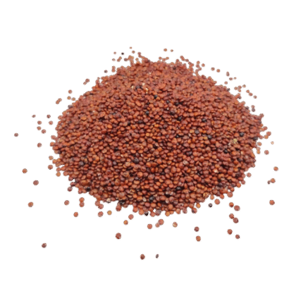 Red Quinoa Seeds