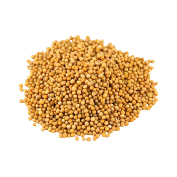 Yellow Mustard Seeds
